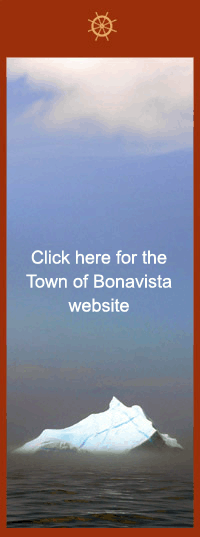 Town website