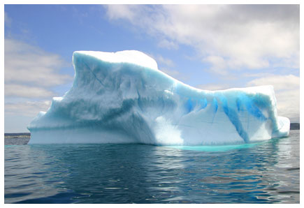 iceberg in the harbour
